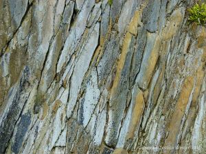 Interesting pattern and colour in Silurian rocks at Clogher Bay on the Dingle Peninsula in Ireland