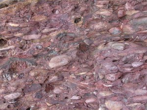 Colourful Devonian pebble bed cliff strata at Trabeg on the Dingle Peninsula in Ireland