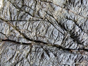 Interesting texture like wrinkled elephant skin on Carboniferous rcliff rock at Tenby in South Wales