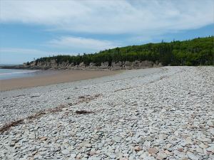 View across a shingle bank and sandy beach towards a pine-topped rocky promontory
