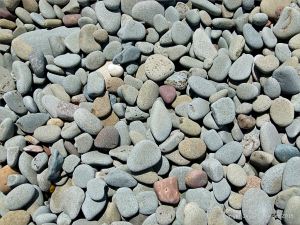 Beach stones near Cape Enrage
