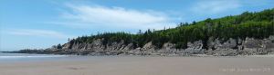 Pine topped cliffs near Cape Enrage