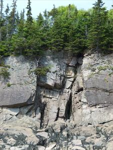 Late Carboniferous Period rocks of the Mabou Group near Cape Enrage
