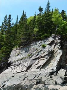 Late Carboniferous Period rocks of the Mabou Group near Cape Enrage