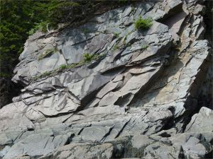 Late Carboniferous Period rocks of the Mabou Group near Cape Enrage