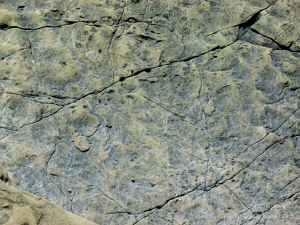 Late Carboniferous Period rocks of the Mabou Group near Cape Enrage