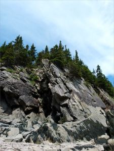 Late Carboniferous Period rocks of the Mabou Group near Cape Enrage