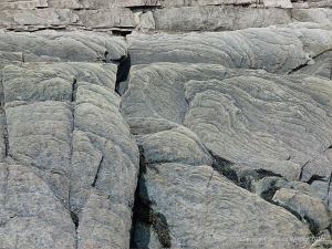 Late Carboniferous Period rocks of the Mabou Group near Cape Enrage