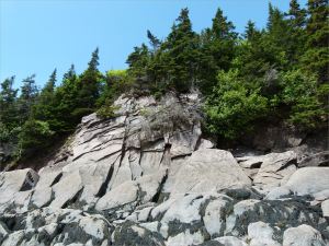 Late Carboniferous Period rocks of the Mabou Group near Cape Enrage