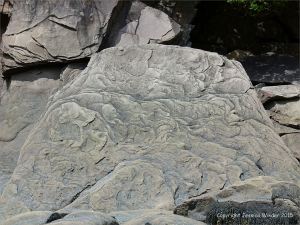 Late Carboniferous Period rocks of the Mabou Group near Cape Enrage