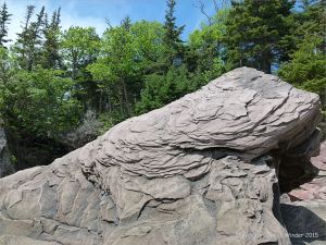 Late Carboniferous Period rocks of the Mabou Group near Cape Enrage