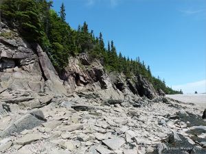 Late Carboniferous Period rocks of the Mabou Group near Cape Enrage