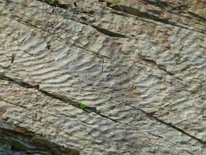 Sand ripple patterns in rocks at Cape Enrage