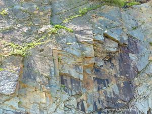 Natural texture and pattern in rocks at Cape Enrage