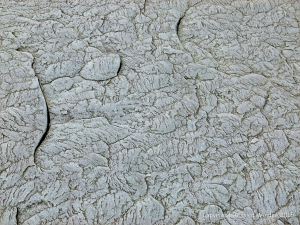 Natural texture and pattern in rocks at Cape Enrage
