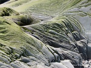 Natural texture and pattern in rocks at Cape Enrage
