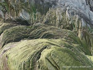 Natural texture and pattern in rocks at Cape Enrage