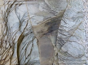 Natural texture and pattern in rocks at Cape Enrage