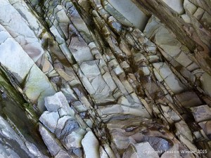 Natural texture and pattern in rocks at Cape Enrage