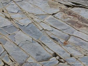 Natural texture and pattern in rocks at Cape Enrage