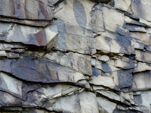 Natural texture and pattern in rocks at Cape Enrage