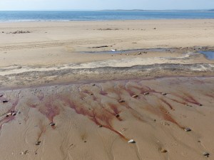 Red liquid draining from the beach at Whiteford Sands