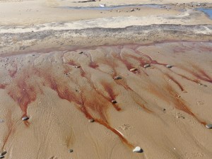 Red liquid draining from the beach at Whiteford Sands
