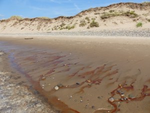 Red liquid draining from the beach at Whiteford Sands