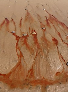 Red liquid draining from the beach at Whiteford Sands