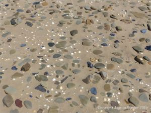 Pebbles, seashells and sand on the beach