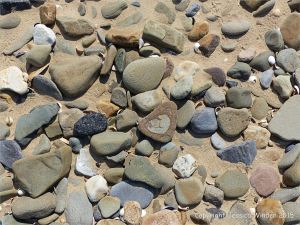 Pebbles on the beach near Whiteford Point