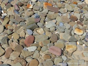 Pebbles on the beach near Whiteford Point