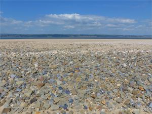 Pebbles on the beach near Whiteford Point