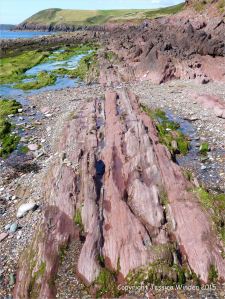 Colour, texture, and pattern in Old Red Sandstone strata in South Wales