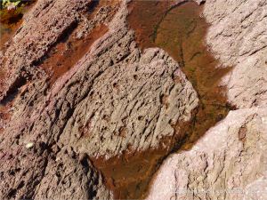Colour, texture, and pattern in Old Red Sandstone strata in South Wales