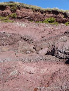 Colour, texture, and pattern in Old Red Sandstone strata in South Wales