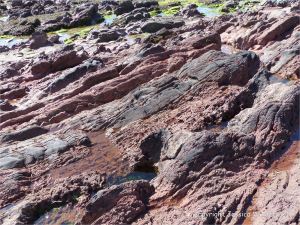 Colour, texture, and pattern in Old Red Sandstone strata in South Wales