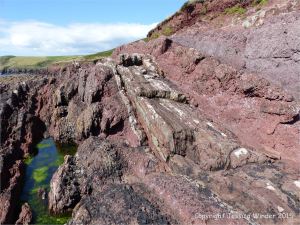Colour, texture, and pattern in Old Red Sandstone strata in South Wales