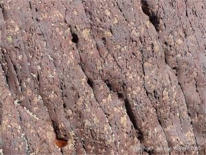 Colour, texture, and pattern in Old Red Sandstone strata in South Wales
