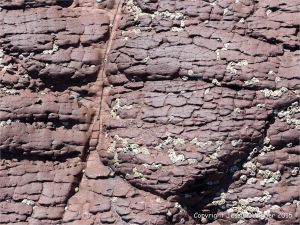 Colour, texture, and pattern in Old Red Sandstone strata in South Wales