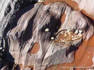 Colour, texture, and pattern in Old Red Sandstone strata in South Wales