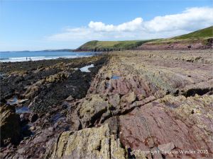 Colour, texture, and pattern in Old Red Sandstone strata in South Wales