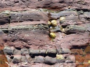 Colour, texture, and pattern in Old Red Sandstone strata in South Wales