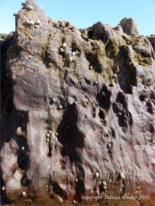 Colour, texture, and pattern in Old Red Sandstone strata in South Wales