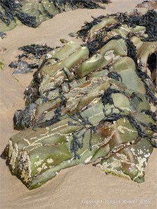 Colour, texture, and pattern in Old Red Sandstone strata in South Wales