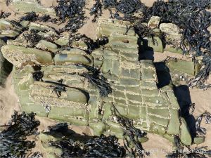 Colour, texture, and pattern in Old Red Sandstone strata in South Wales