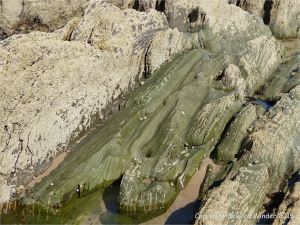 Colour, texture, and pattern in Old Red Sandstone strata in South Wales