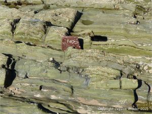 Colour, texture, and pattern in Old Red Sandstone strata in South Wales