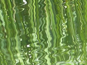 Natural abstract image of reeds reflected in water