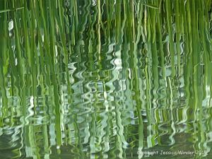 Natural abstract image of reeds reflected in water